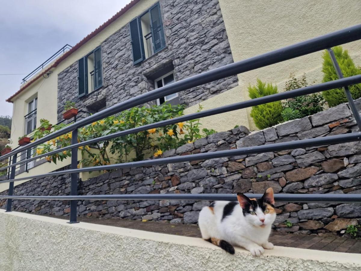 Green Valley House Madeira Ribeira Brava Zewnętrze zdjęcie